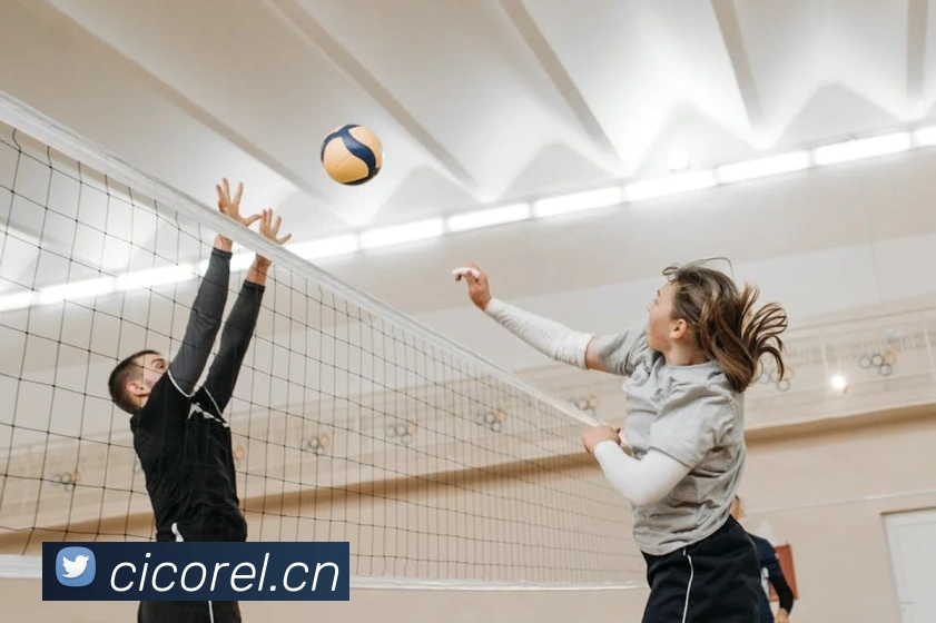 博亚体育app官网入口服务体系