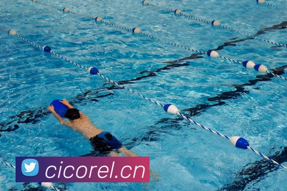 博亚体育app官网入口APP 体育赛事宣传图